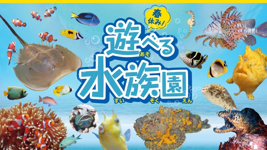 見て！触って！遊べる水族園が福岡にやってくる！「春休み！遊べる水族園」3月18日（土）からBOSS E・ZO FUKUOKAで開催決定！